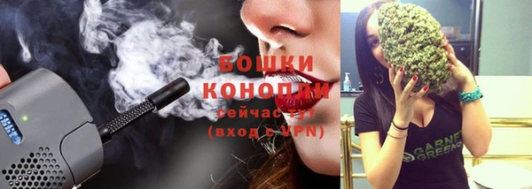 амф Козельск