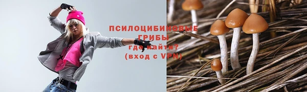 MESCALINE Кинешма