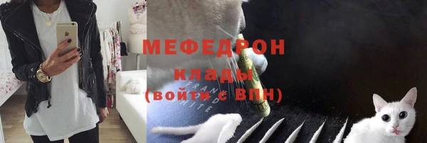 амф Козельск